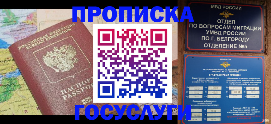 прописка регистрация в Чайковском